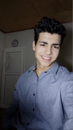 anarlr