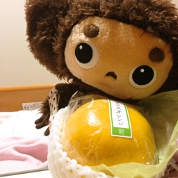 cheburashka