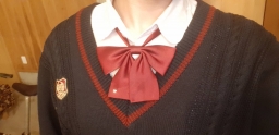 chokozai