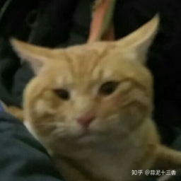 cjh1065007773