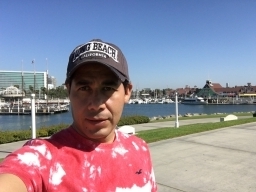 davecalvomex1