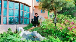 devinkim