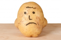 donpotato