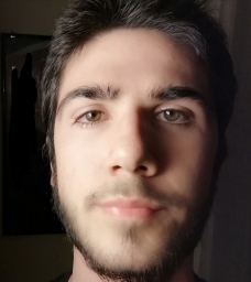 ludovico