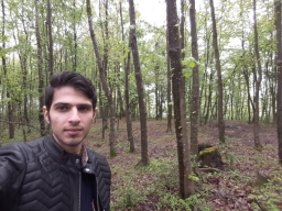 mohammadaref