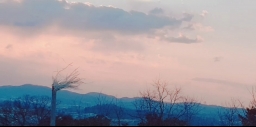 saramijoa