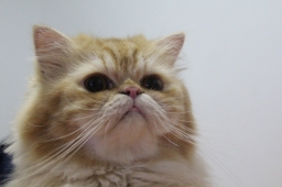 sunnybn