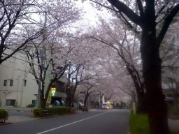 tokyoxkay