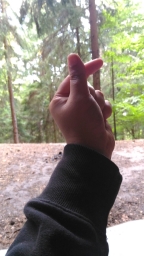 v_era39