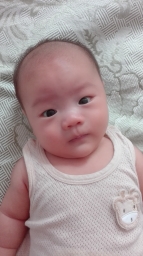 willzhu