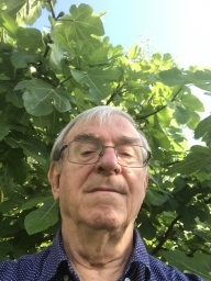 bazarne