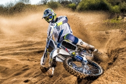 bolot91