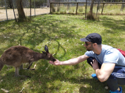 davidsp