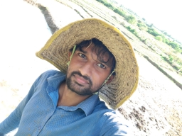dinesh13