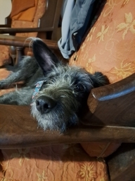 florenciaffs