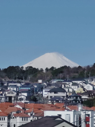 hayasan