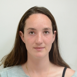 lior88844