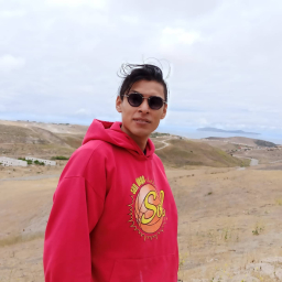mariosilva10