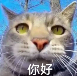 r7777777