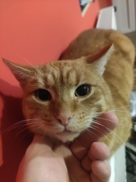 robbybobby