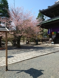 takotako