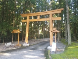 tatsuhiko