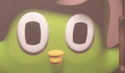 the_duolingo_owl