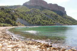 valemi