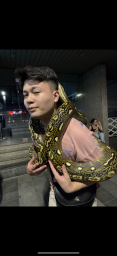 yultuzpa