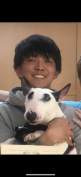 yutadog